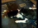 Khady and Holly playing