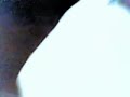 this video is for adults only, this scandal was made by the great jawangs and jetro da mongoloid.