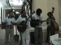 Ver Video