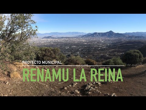 Presentación avance #RENAMULaReina en Concejo (14.07.2020)