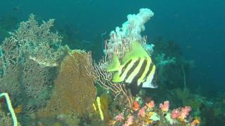 今日は写真ナシ〜だけども〜