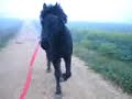 Marius essaye son cave�on