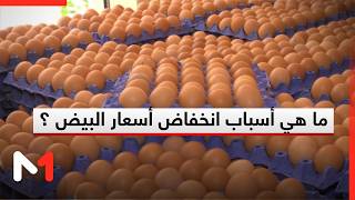 تسجيل انخفاض في أسعار البيض ومهنيون يرجعونه إلى عودة تكلفة الإنتاج إلى مستوياتها الطبيعية