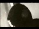 The Killers Feat. Lou Reed - Tranquilize The Killers Feat. Lou Reed - Tranquilize