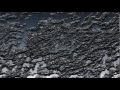 Hugo Weisgall, Fancies & Inventions - Part Three.mpg