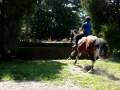 videos de Eventing