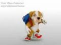 chacarron perro