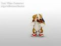 chacarron perro