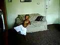 2 years old boy doing karate
