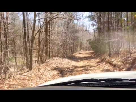 130 acres Ashland, AL