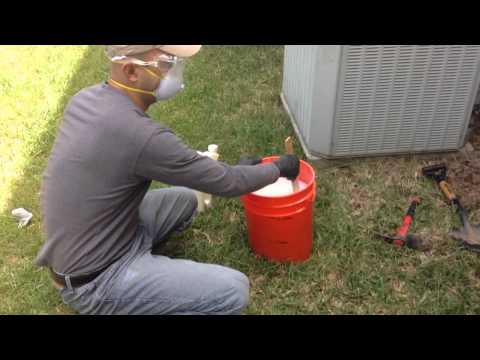 how to treat termites
