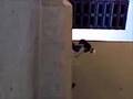 videos de Trey Nollie Loading Dock