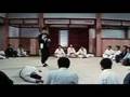Bruce Lee Vs Jet Li