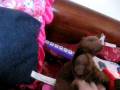 videos de 004.AVI