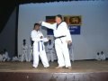 Taekwondo willie kloss 9thDan WTF Srilanka