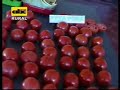 en este video se muestra una sencilla e interesante t�cnica, de como una persona puede preparar sus propias semillas utilizando tomates de la variedad pyta por� y pyta guaz�.

con esta t�cnica la persona que quiera dedicarse al cultivo del tomate no tendr� que estar comprando semillas para su cultivo.
