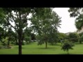 March against Monsanto 21 gun salute Austin