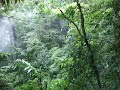 Zip Lining