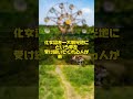 生きる遊園地として残り続ける【化女沼レジャーランド】#バブル遺産 #廃墟 #心霊スポット #廃墟遊園地