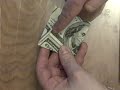 Origami Flapping Bird from One Hundred Dollar Bill - Marc kirschenbaum