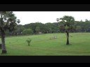 My trip to Cambodia while on Semester at Sea Fall 2007 voyage. We saw so much in 3ish days. Music by SoundtribeSector9