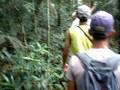 videos de Trilha Ubatuba - Trindade