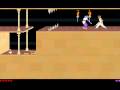 Prince of Persia 1989 Level (4/12)