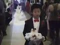 Audi  2 year old