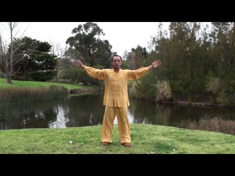 how to practice qigong the basics and principles