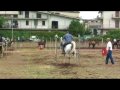I^ MANIFESTAZIONE EQUESTRE A VILLANOVA DI GUIDONIA MONTECELIO