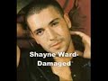 shayne ward- damaged