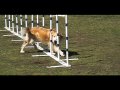 videos de Flyte LRCGB May2009