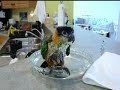 Emmett bathing