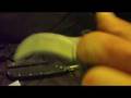 videos de crkt ringer 2