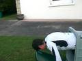 videos de jackass du 35235