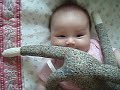 Playing with Sock Monkey Playing with Sock Monkey