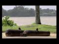 Destination Suriname part one out of two Destination Suriname part one out of two
