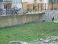Street Boys Crew present parkour in Silistra - part 7