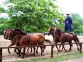Puszta Cowboys in Hungary