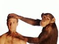 intelligence et conscience... qu'est-ce que �a change dans ma vie. concr�tement, est-ce qu'on s'en fout de croire en l'un ou l'autre ? avortement, mariage, guerre, suicide, intelligence, conscience...