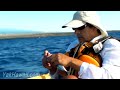 Kayak Fishing Hawaii. Ono Landed, Shark  Eyes In