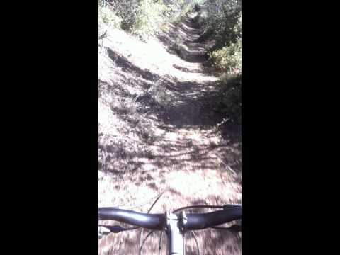 Gridley Trail (about .25 from the top) Above Ojai, California (Los Padres National Forest)