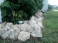 Losi Mini Crawler Test Losi Mini Crawler Test