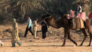 GlobeTrotter Jon Haggins TV at Tozeur Oasis Festival in Tunisia