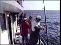 釣り ニュージャージー州 ブラックシーバス
