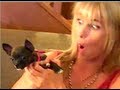 TINY ATTACK DOG!