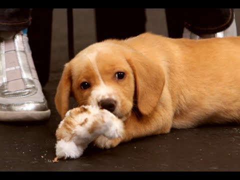 how to treat teething