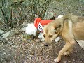 Tochka