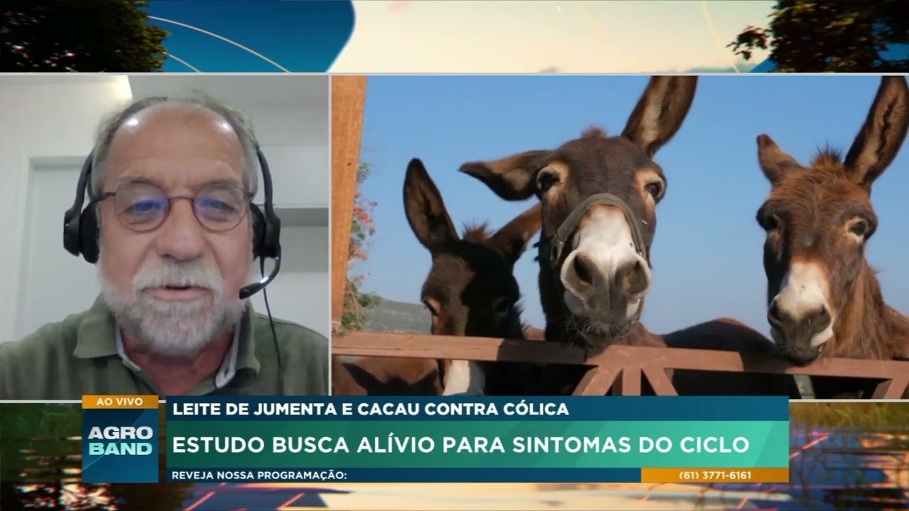 Estudo investiga alívio de cólicas com leite de jumenta