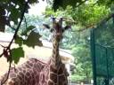 Baltimore Zoo